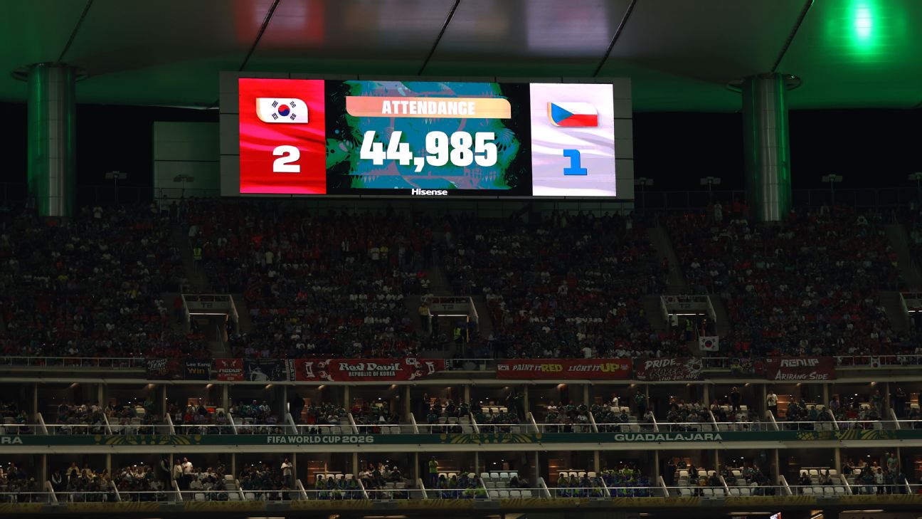 FIFA为韩国捷克世界杯比赛上座人数辩护，声称44985人数据准确